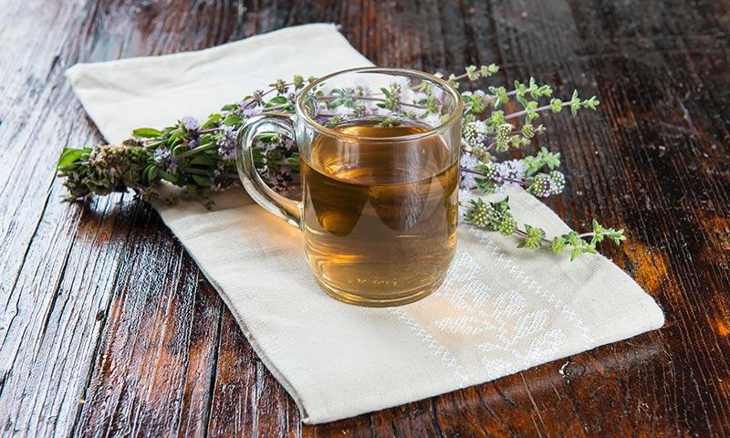 Pennyroyal ( Mentha pulegium )