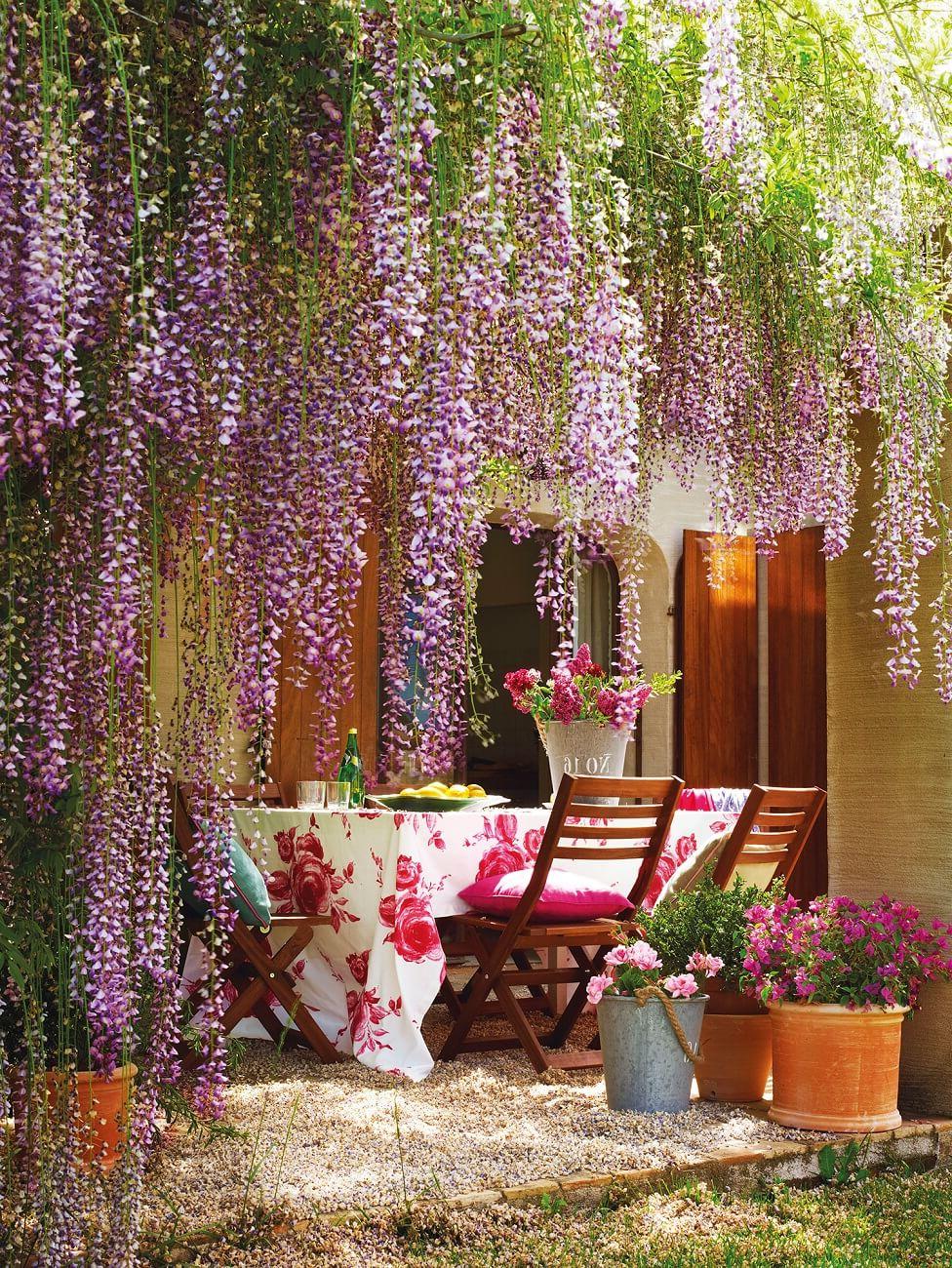 UNDER WISTERIA