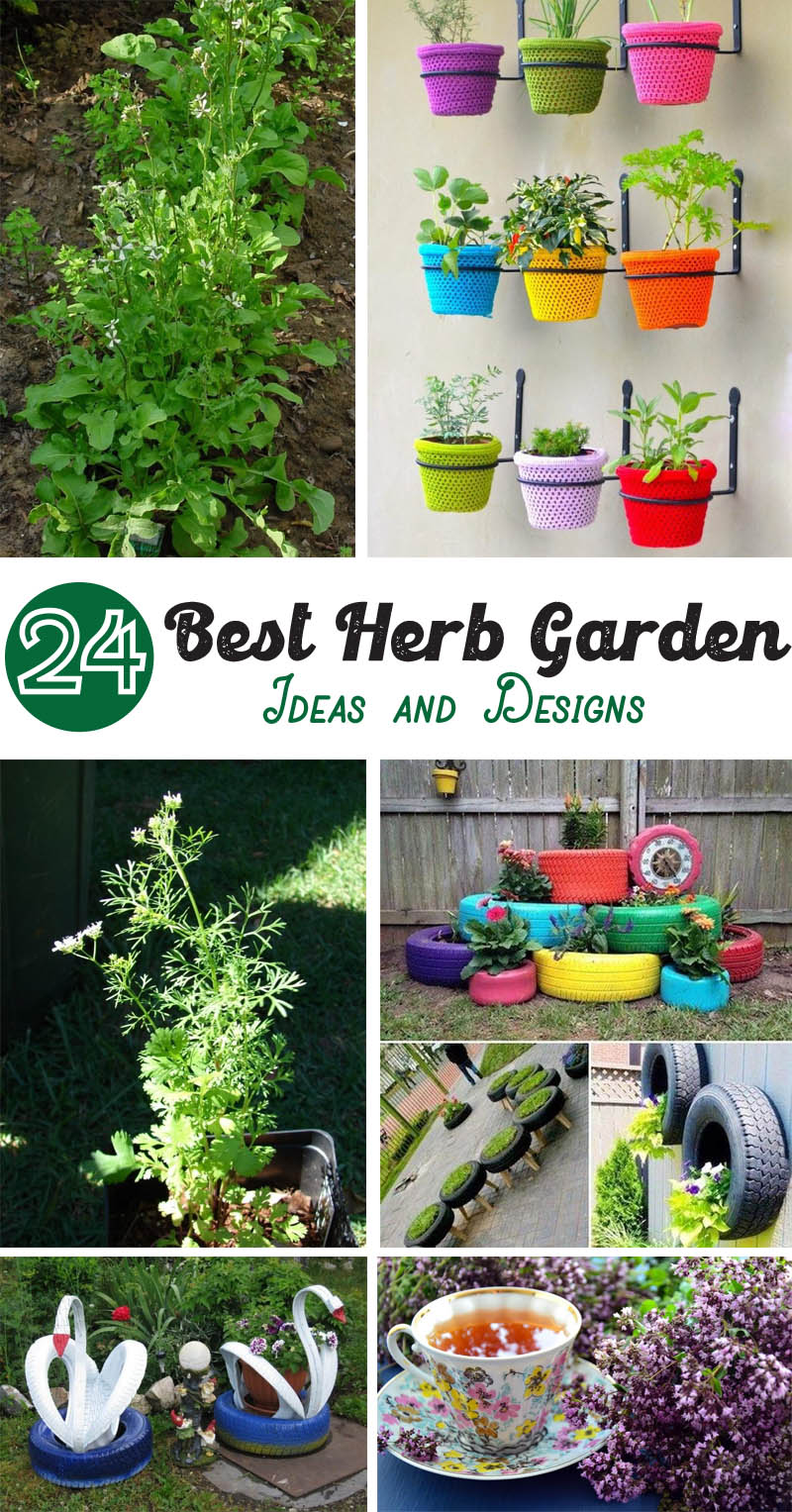 Best Herb Garden Ideas and Designs