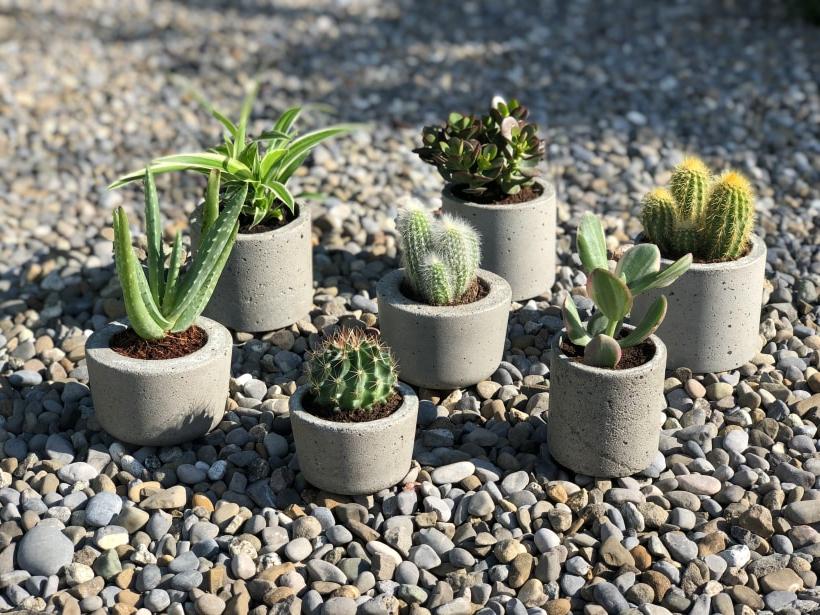 DIY Concrete Planters