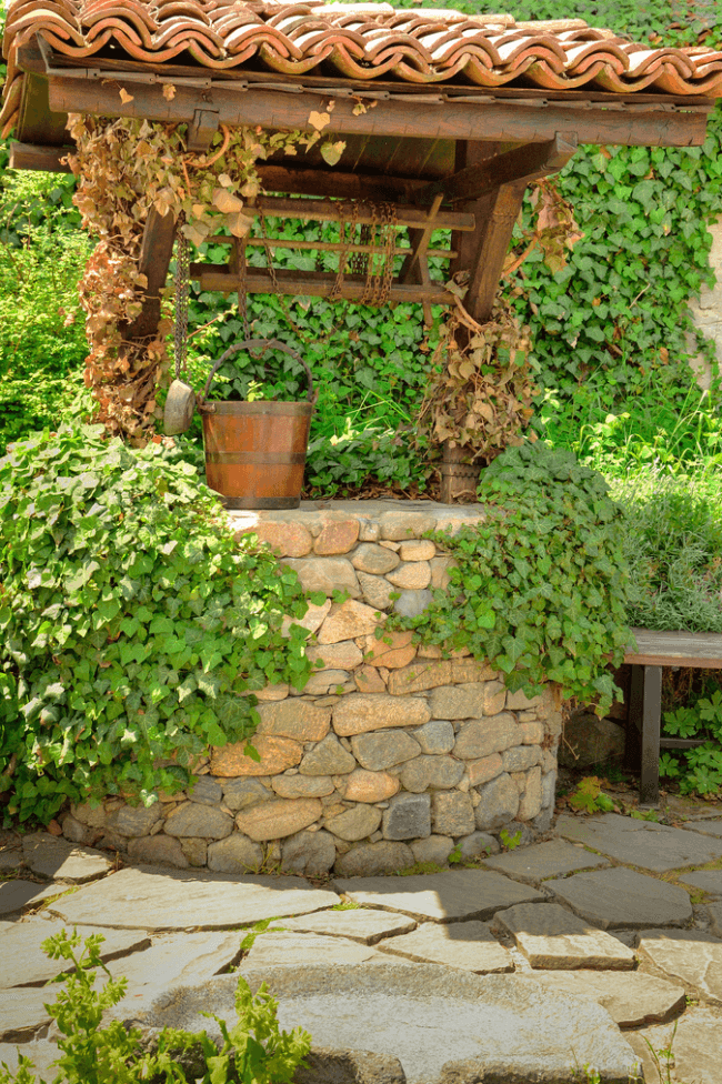 House for a well can be decorated with climbing plants