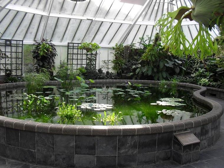 Indoor pond options