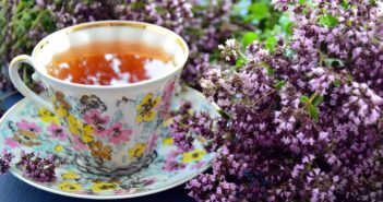 Oregano belongs to the tea herbs