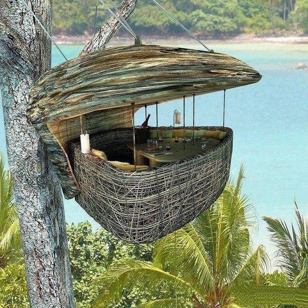 Restaurant on the tree. Koh Kood island in Thailand