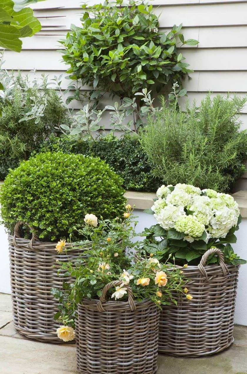 Wicker baskets from vine will emphasize the romantic mood of landscape design