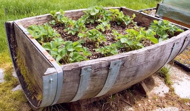 diy wine barrel garden ideas