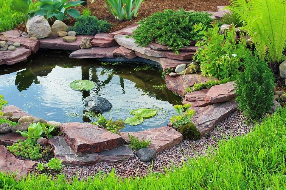 miniature pond