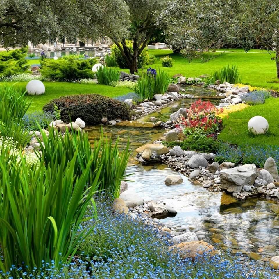 pond in the country-design