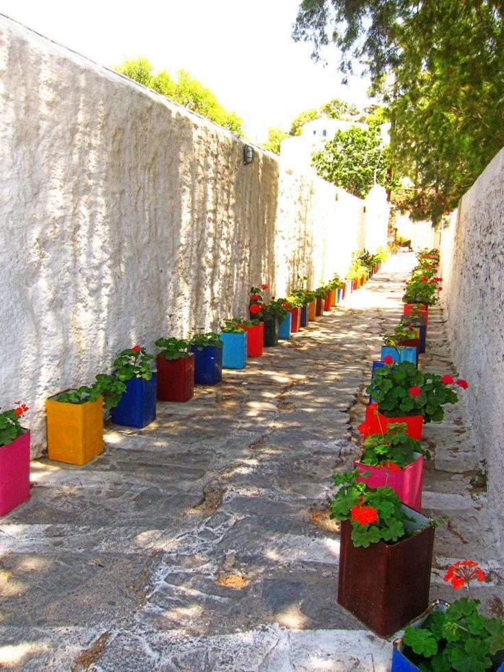 salvation for the alley from boring concrete walls was bright multi-colored boxes with geraniums