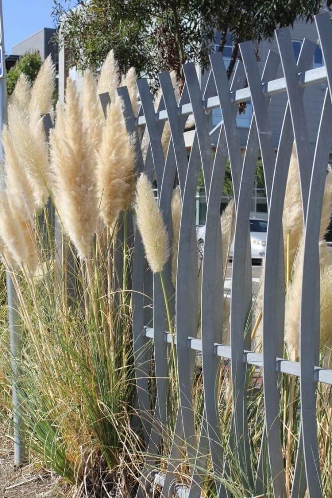 Arcs in the picket fence