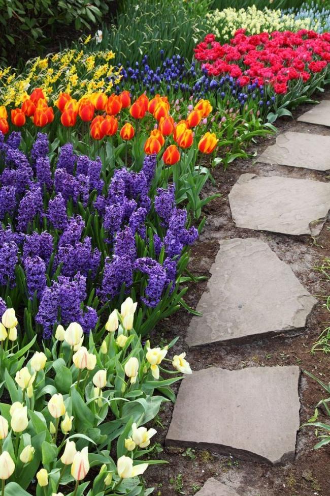 Alley of bright spring flowers