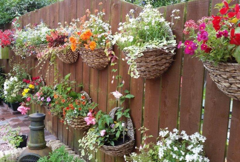 Flower baskets