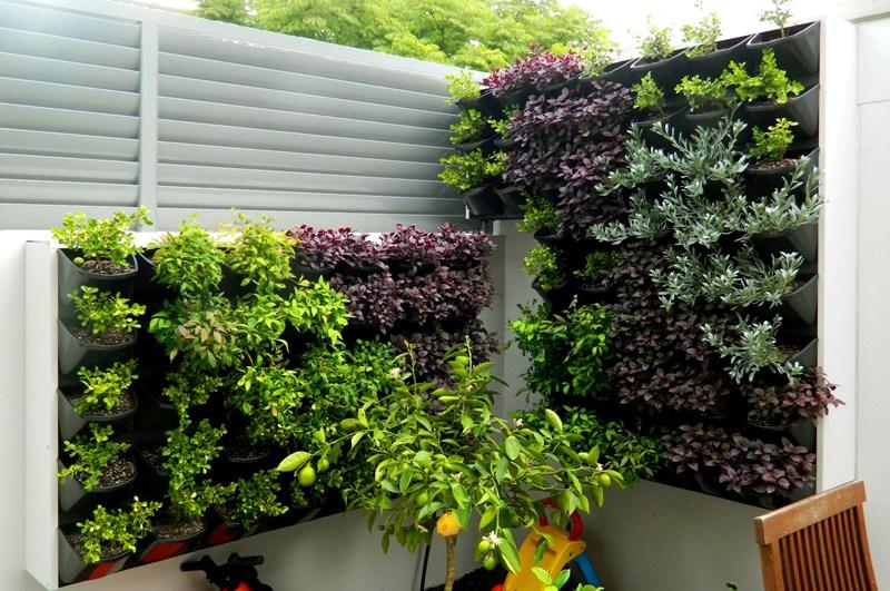 Vertical garden of succulents