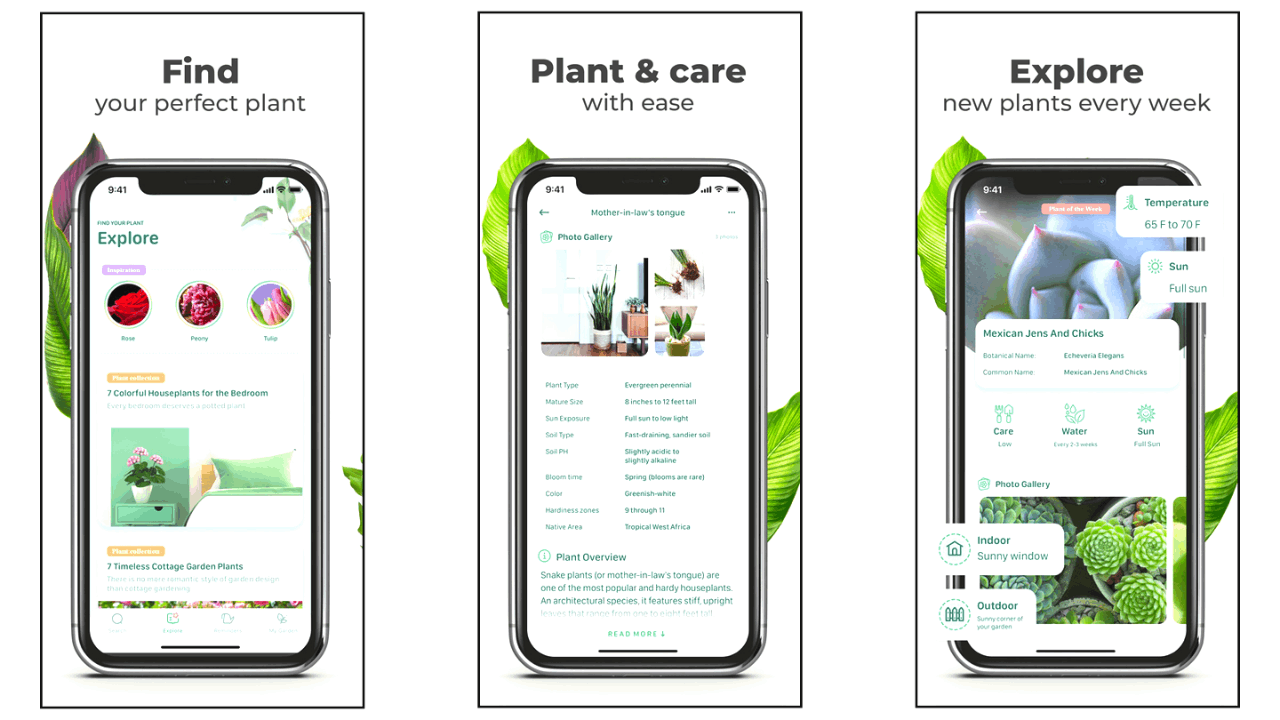 Learn How to Take Care of Plants With an App