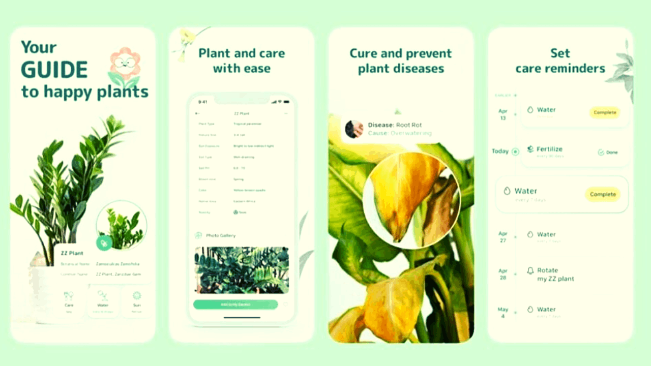 Learn How to Take Care of Plants With an App