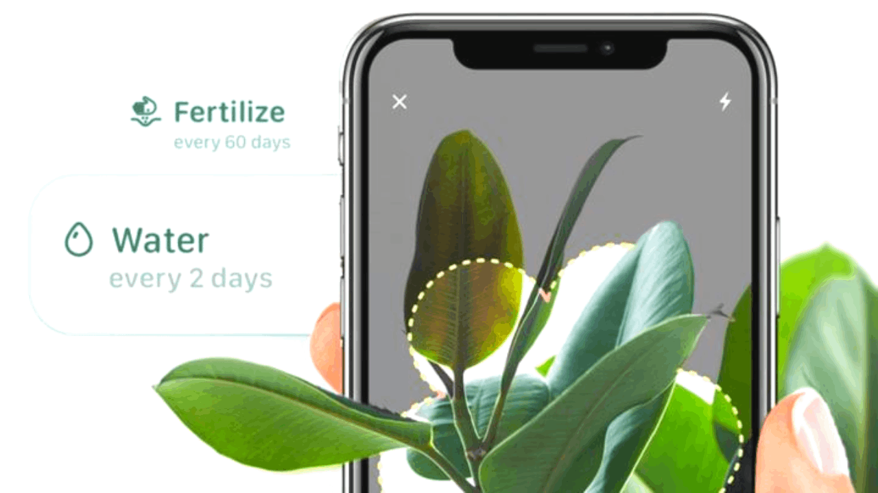 Learn How to Take Care of Plants With an App