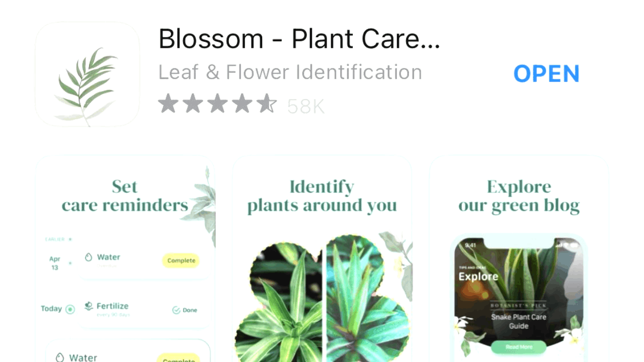 Learn How to Take Care of Plants With an App