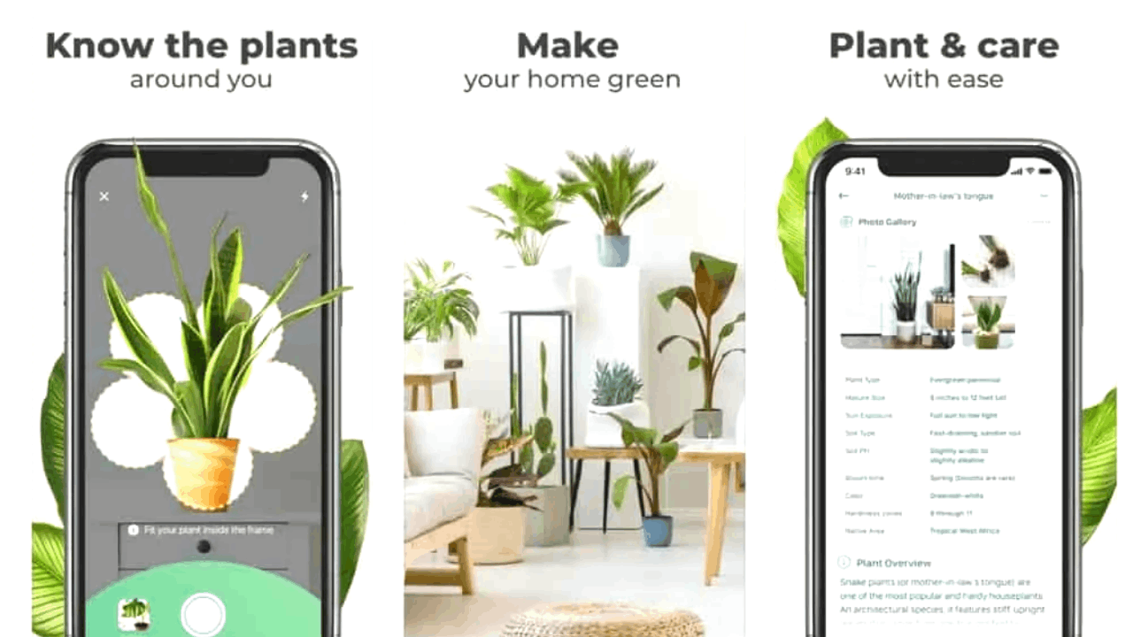 Learn How to Take Care of Plants With an App